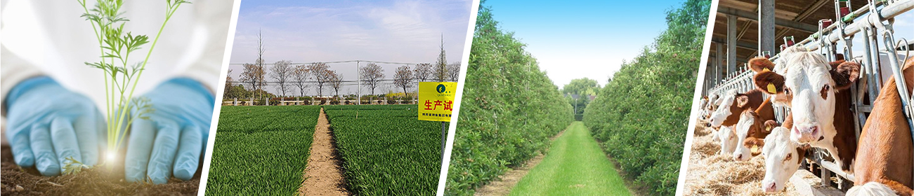 NG����̨(�й���)����Ʒ�Ƶ�ʵ��