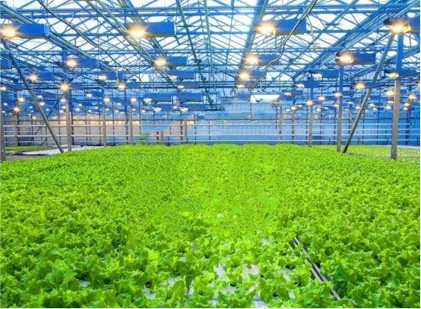 NG����̨(�й���)����Ʒ�Ƶ�ʵ��