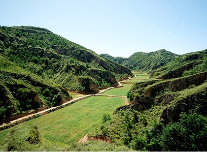 NG����̨(�й���)����Ʒ�Ƶ�ʵ��