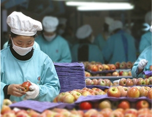 NG����̨(�й���)����Ʒ�Ƶ�ʵ��