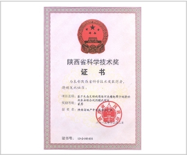 NG����̨(�й���)����Ʒ�Ƶ�ʵ��